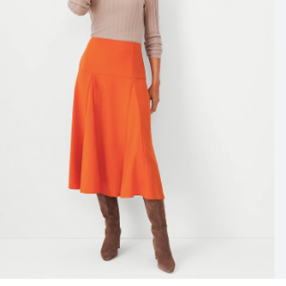 NEVER WORN! Seamed Midi Skirt